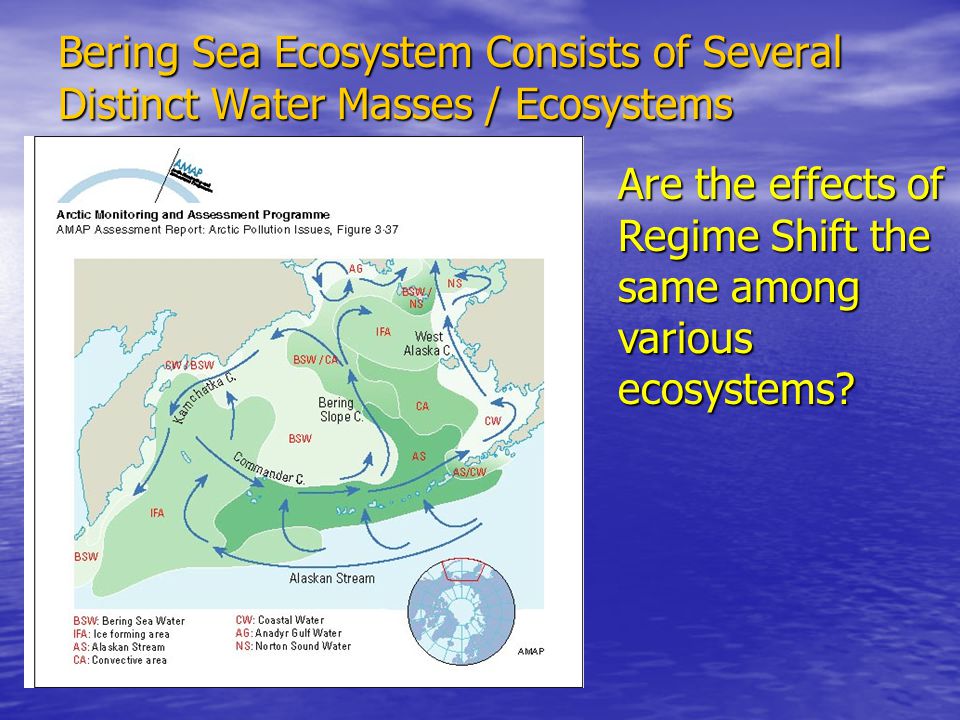 Bering Sea Ecosystem Consists of Several Distinct Water Masses / Ecosystems Are the effects of Regime Shift the same among various ecosystems