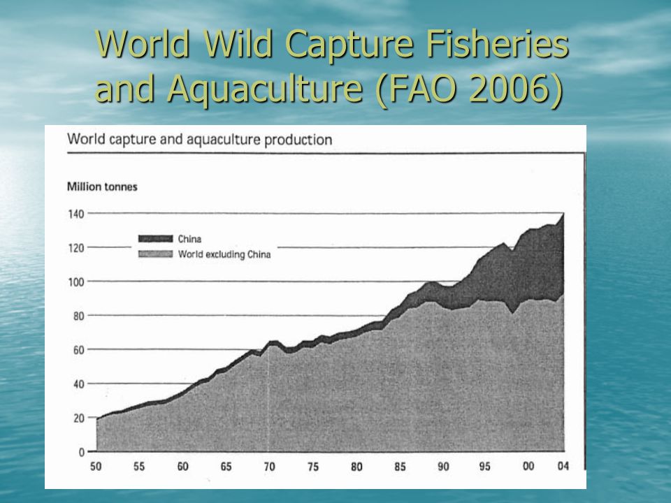 World Wild Capture Fisheries and Aquaculture (FAO 2006)