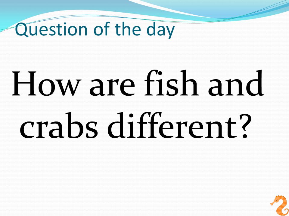 Question of the day How are fish and crabs different