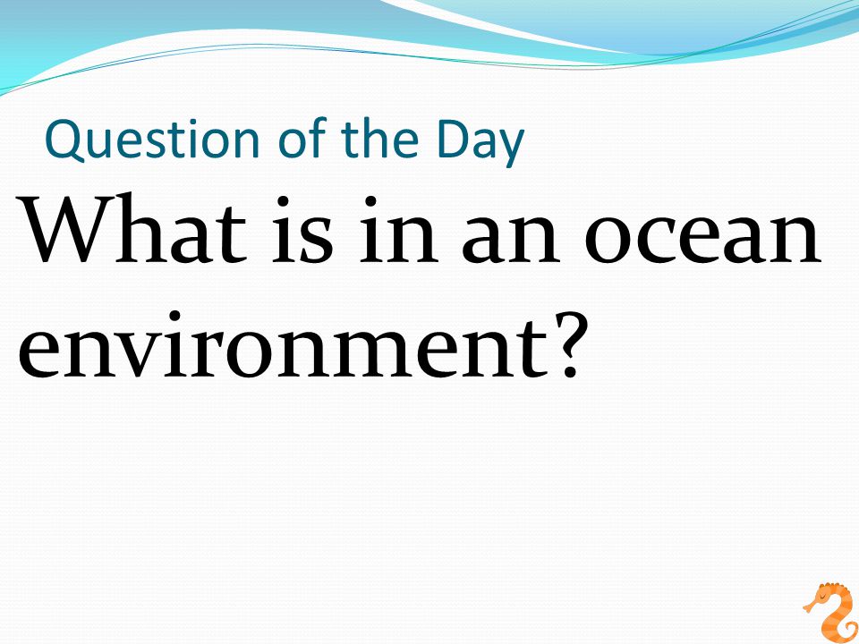 What is in an ocean environment Question of the Day