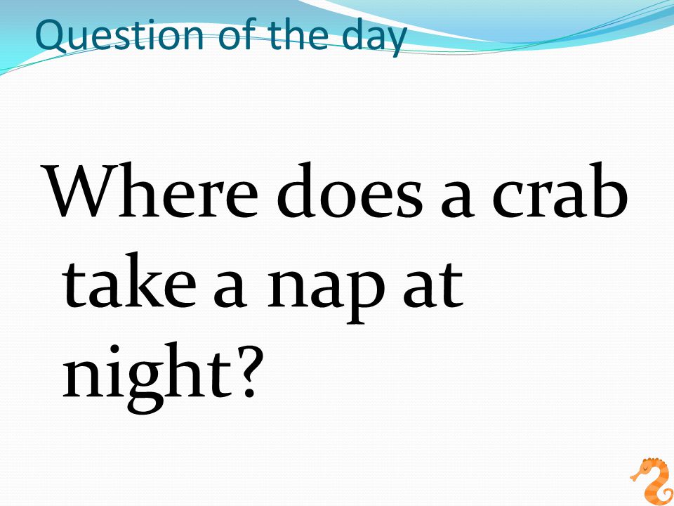 Question of the day Where does a crab take a nap at night