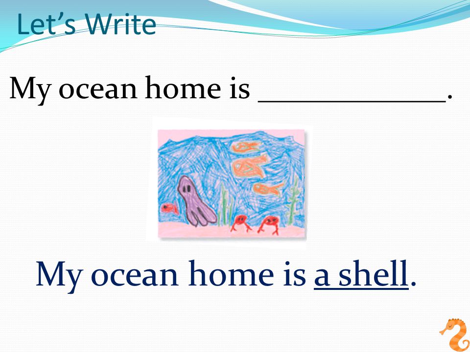 Let’s Write My ocean home is ____________. My ocean home is a shell.