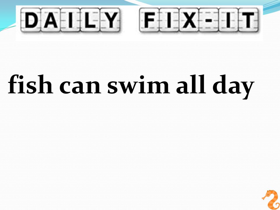 fish can swim all day