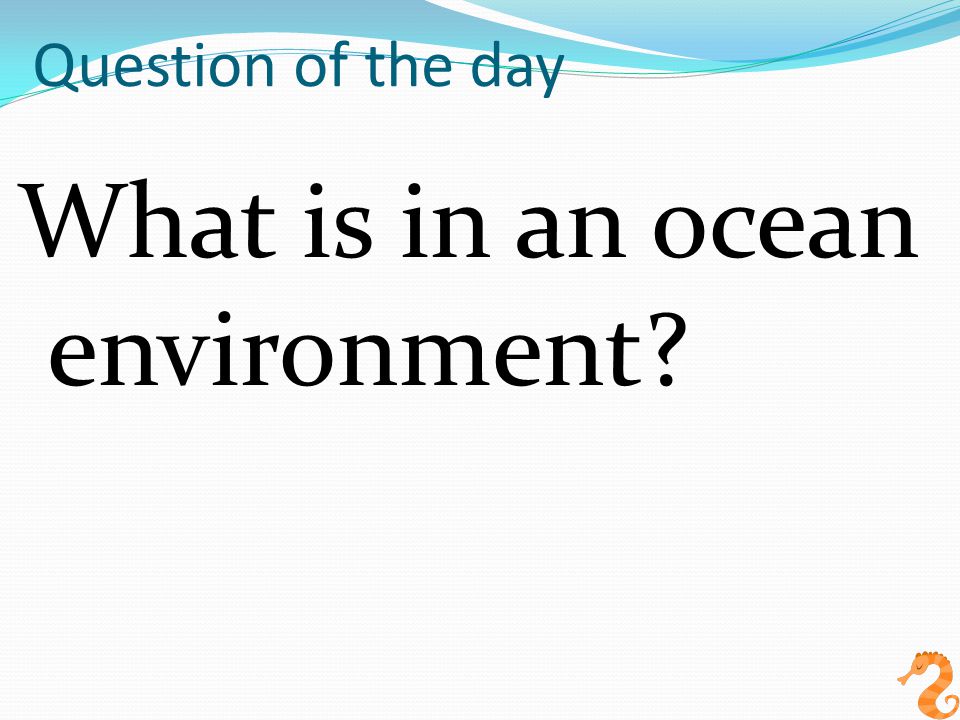 Question of the day What is in an ocean environment