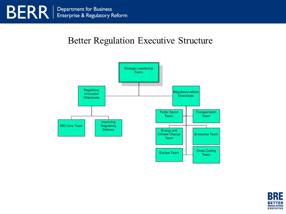Better Regulation Executive Structure