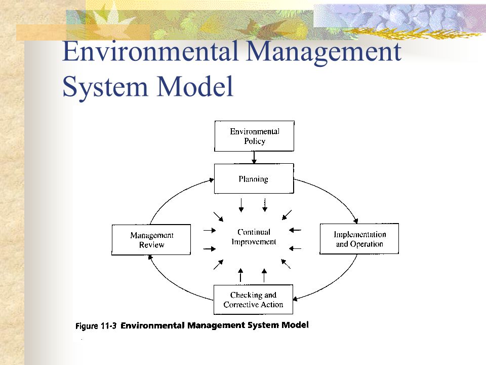 Environmental Management System Model