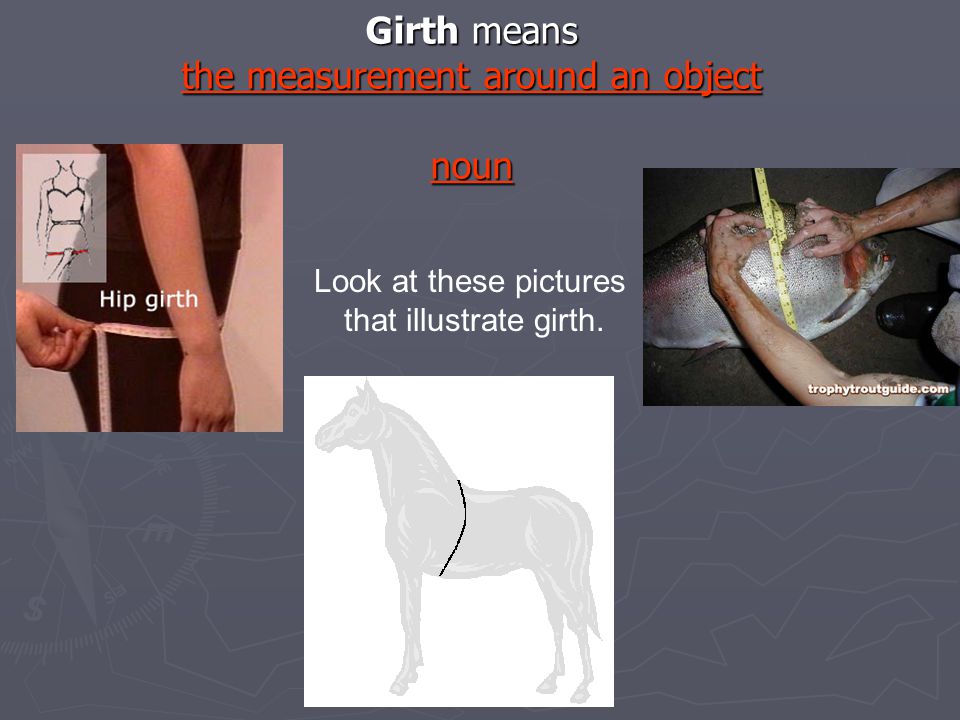 Vocabulary for Leah’s Pony. Word Knowledge Unit 6, Lesson 3 What do
