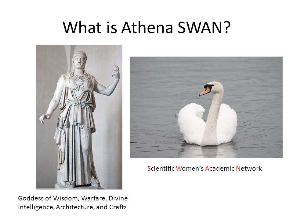 What is Athena SWAN.