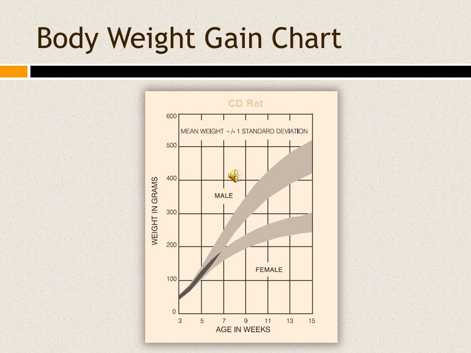 Rat Weight Chart