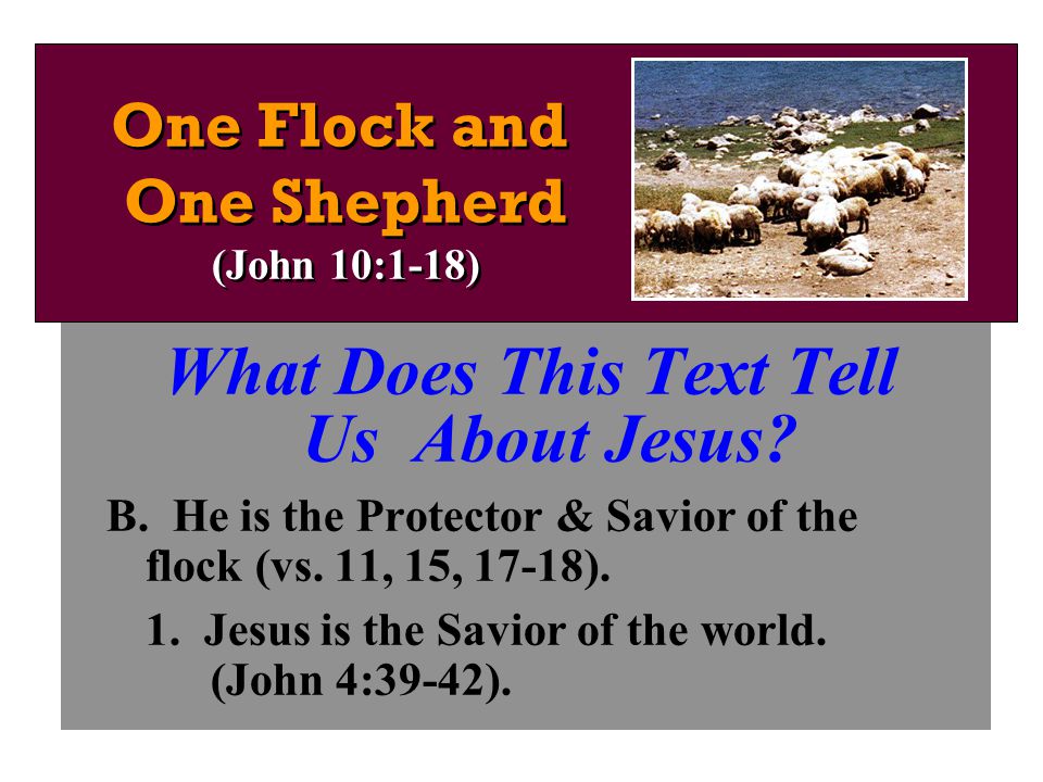 What Does This Text Tell Us About Jesus. B. He is the Protector & Savior of the flock (vs.