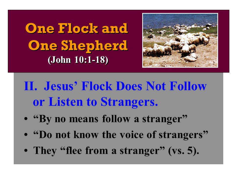II. Jesus’ Flock Does Not Follow or Listen to Strangers.