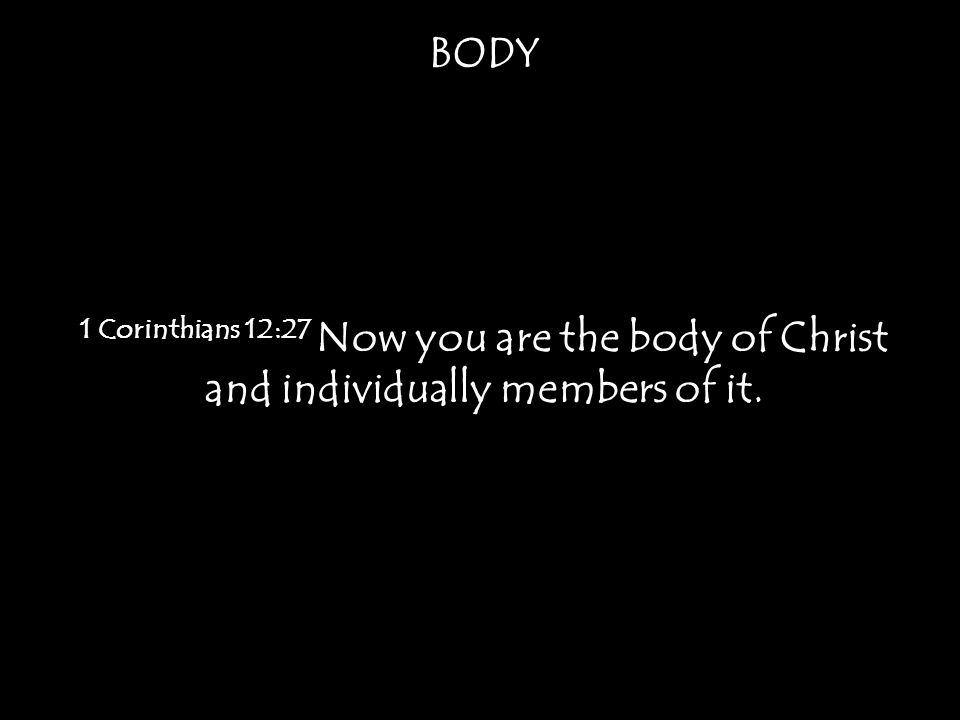 BODY 1 Corinthians 12:27 Now you are the body of Christ and individually members of it.