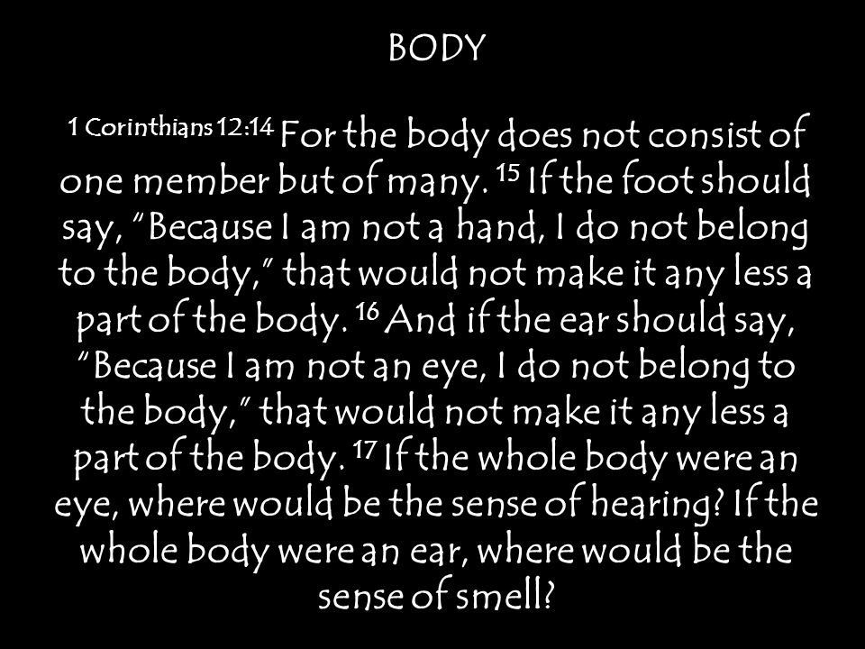 BODY 1 Corinthians 12:14 For the body does not consist of one member but of many.