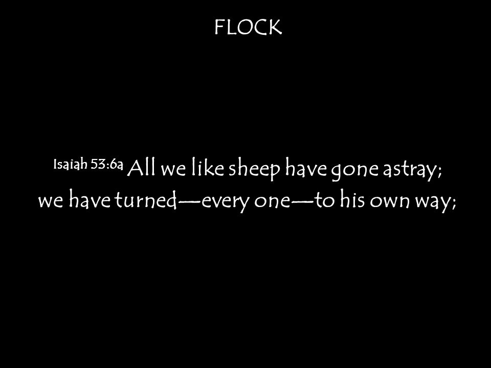 FLOCK Isaiah 53:6a All we like sheep have gone astray; we have turned—every one—to his own way;