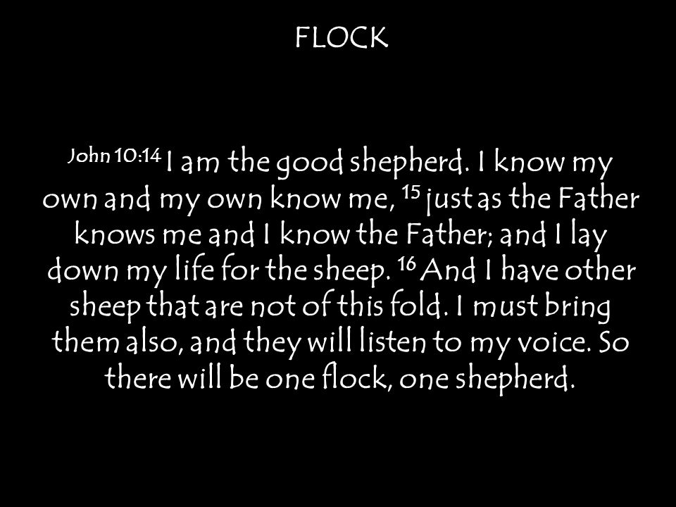 FLOCK John 10:14 I am the good shepherd.