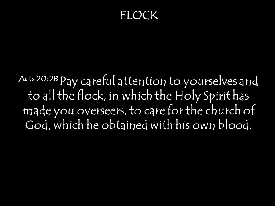 FLOCK Acts 20:28 Pay careful attention to yourselves and to all the flock, in which the Holy Spirit has made you overseers, to care for the church of God, which he obtained with his own blood.