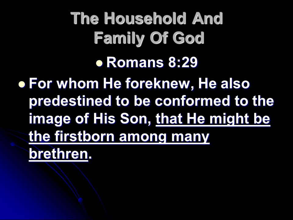 The Household And Family Of God Romans 8:29 Romans 8:29 For whom He foreknew, He also predestined to be conformed to the image of His Son, that He might be the firstborn among many brethren.