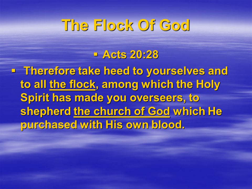 The Flock Of God  Acts 20:28  Therefore take heed to yourselves and to all the flock, among which the Holy Spirit has made you overseers, to shepherd the church of God which He purchased with His own blood.
