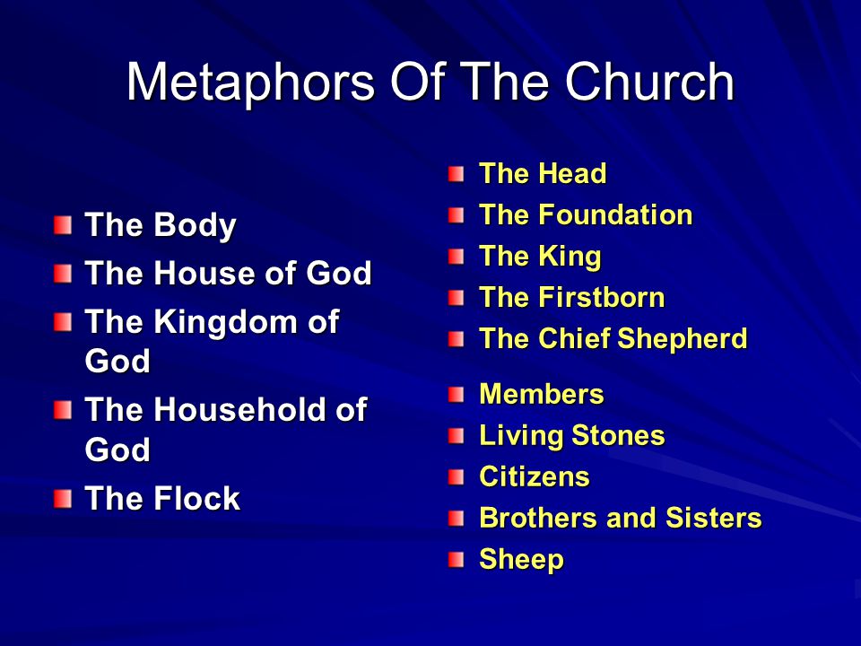 Metaphors Of The Church The Body The House of God The Kingdom of God The Household of God The Flock The Head The Foundation The King The Firstborn The Chief Shepherd Members Living Stones Citizens Brothers and Sisters Sheep