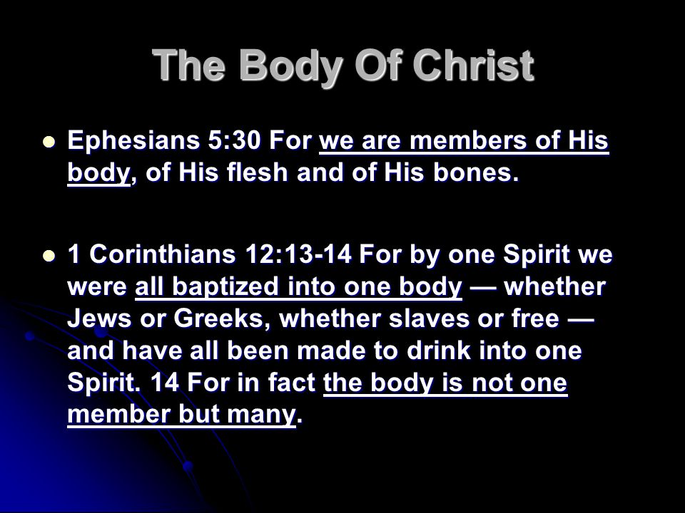 The Body Of Christ Ephesians 5:30 For we are members of His body, of His flesh and of His bones.