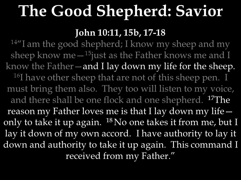 The Good Shepherd: Savior John 10:11, 15b, I am the good shepherd; I know my sheep and my sheep know me— 15 just as the Father knows me and I know the Father—and I lay down my life for the sheep.