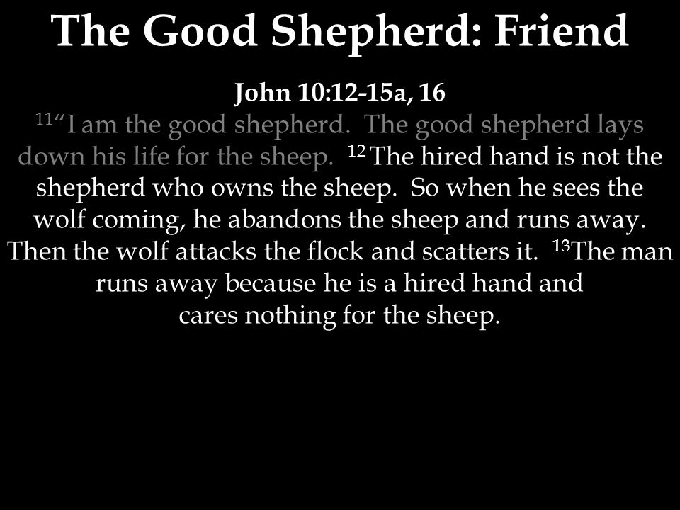 The Good Shepherd: Friend John 10:12-15a, I am the good shepherd.