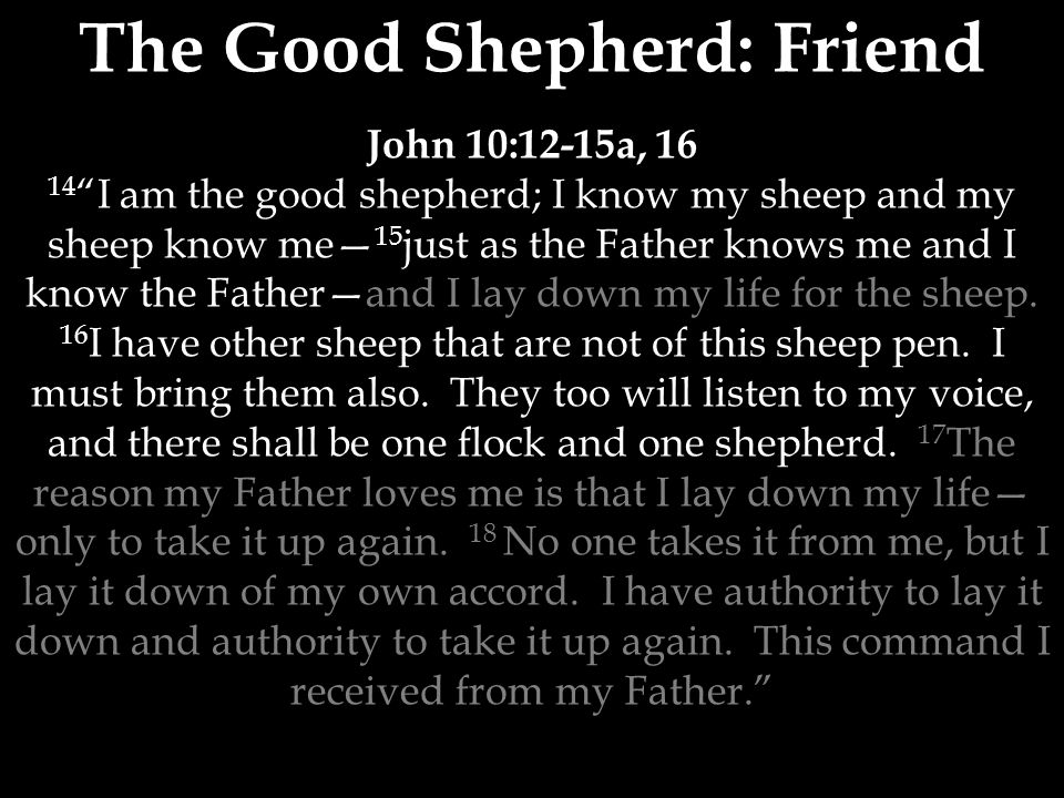 The Good Shepherd: Friend John 10:12-15a, I am the good shepherd; I know my sheep and my sheep know me— 15 just as the Father knows me and I know the Father—and I lay down my life for the sheep.