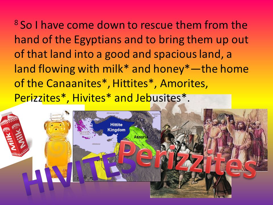 8 So I have come down to rescue them from the hand of the Egyptians and to bring them up out of that land into a good and spacious land, a land flowing with milk* and honey*—the home of the Canaanites*, Hittites*, Amorites, Perizzites*, Hivites* and Jebusites*.