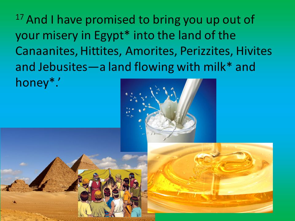 17 And I have promised to bring you up out of your misery in Egypt* into the land of the Canaanites, Hittites, Amorites, Perizzites, Hivites and Jebusites—a land flowing with milk* and honey*.’