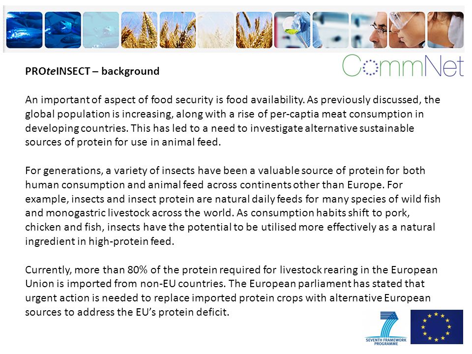 PROteINSECT – background An important of aspect of food security is food availability.
