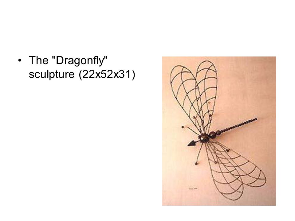 The Dragonfly sculpture (22x52x31)