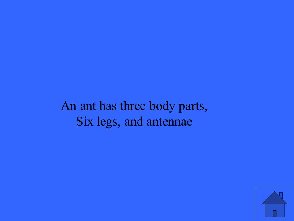 An ant has three body parts, Six legs, and antennae
