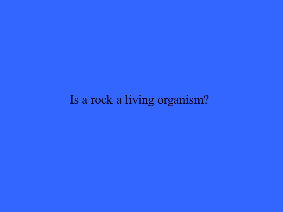 Is a rock a living organism