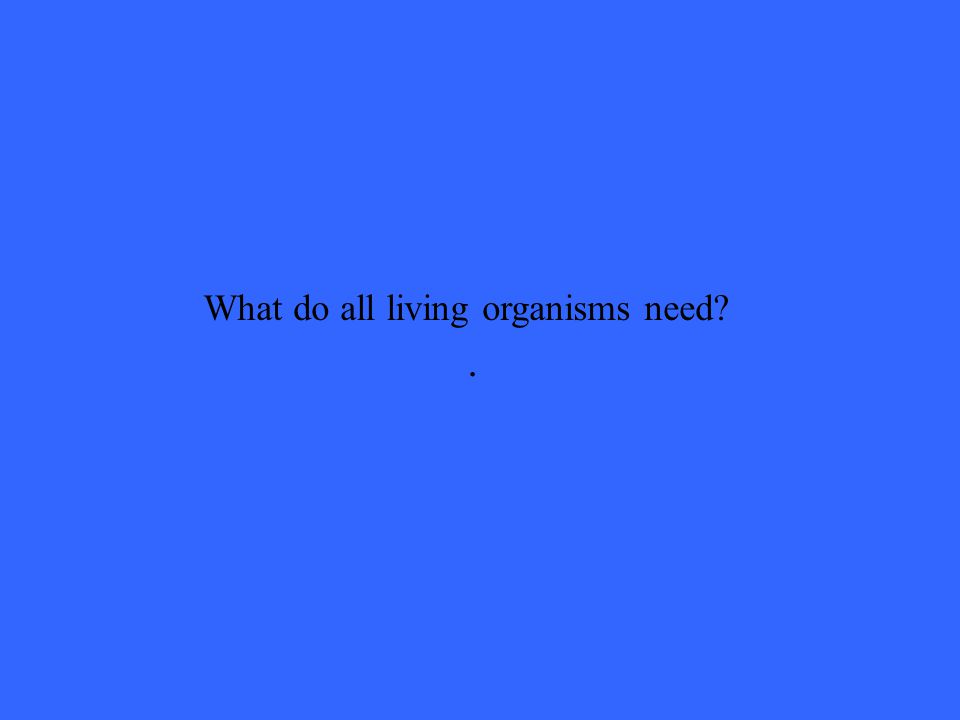 . What do all living organisms need
