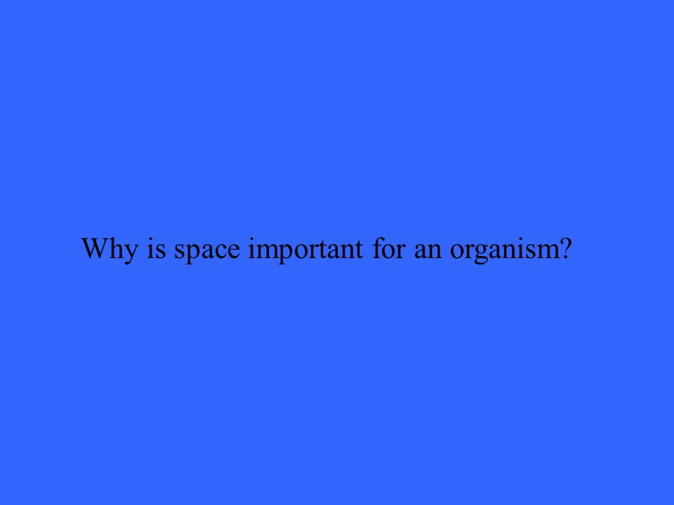 Why is space important for an organism