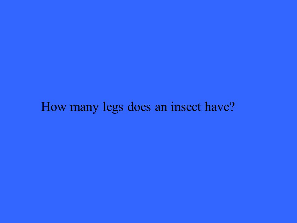 How many legs does an insect have