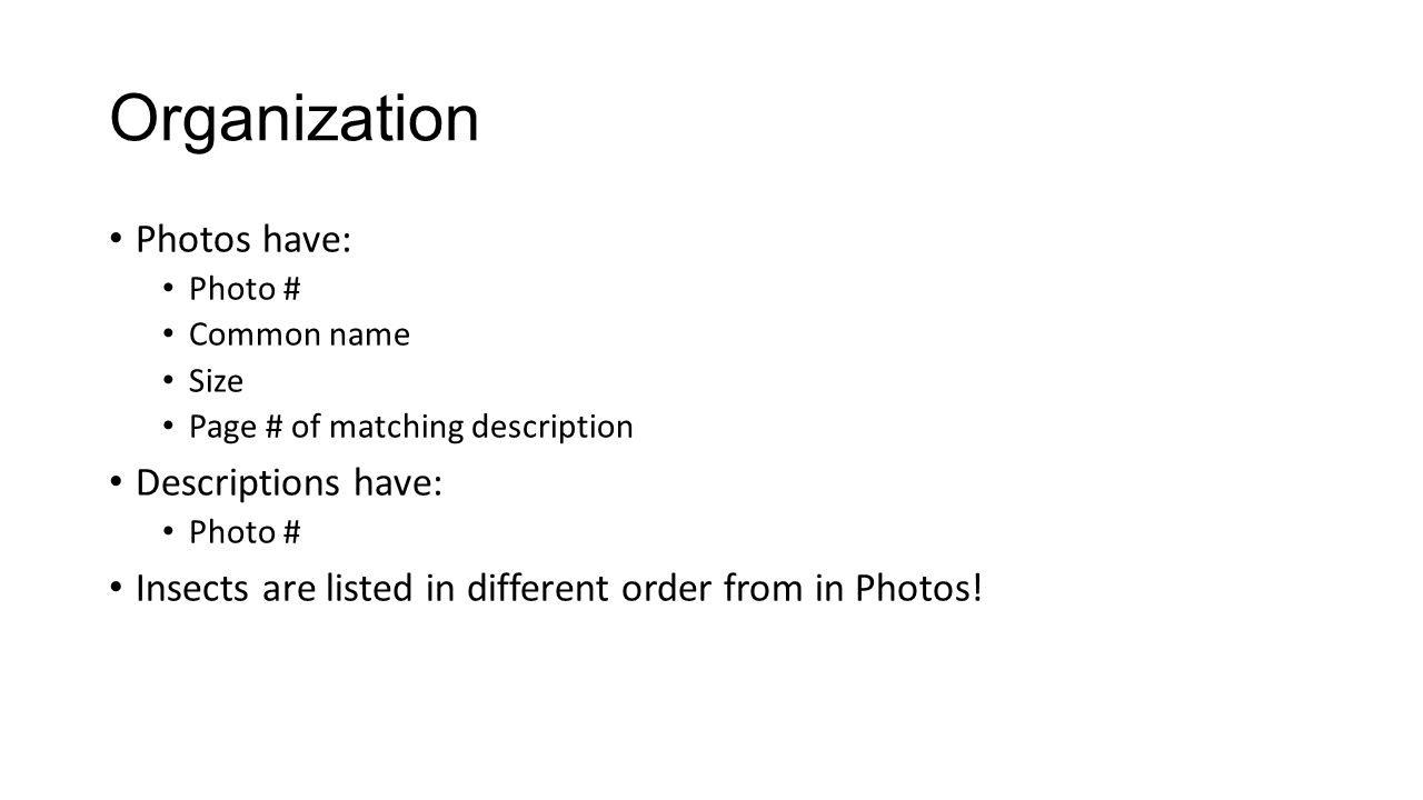 Organization Photos have: Photo # Common name Size Page # of matching description Descriptions have: Photo # Insects are listed in different order from in Photos!