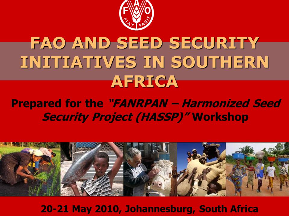 FAO AND SEED SECURITY INITIATIVES IN SOUTHERN AFRICA Prepared for the FANRPAN – Harmonized Seed Security Project (HASSP) Workshop May 2010, Johannesburg, South Africa