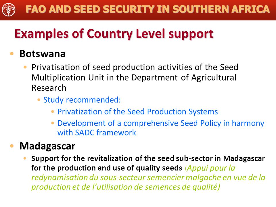 FAO AND SEED SECURITY IN SOUTHERN AFRICA Examples of Country Level support Botswana Privatisation of seed production activities of the Seed Multiplication Unit in the Department of Agricultural Research Study recommended: Privatization of the Seed Production Systems Development of a comprehensive Seed Policy in harmony with SADC framework Madagascar Support for the revitalization of the seed sub-sector in Madagascar for the production and use of quality seeds ( Appui pour la redynamisation du sous-secteur semencier malgache en vue de la production et de l’utilisation de semences de qualité)