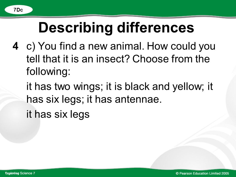 Describing differences 4c) You find a new animal. How could you tell that it is an insect.