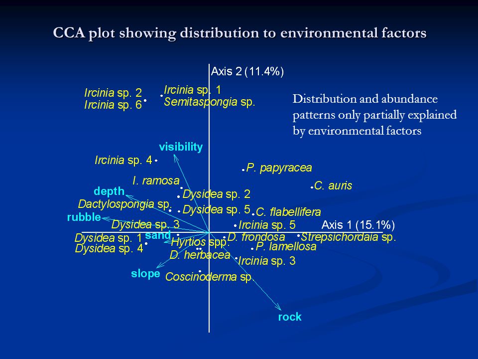 CCA plot showing distribution to environmental factors Distribution and abundance patterns only partially explained by environmental factors