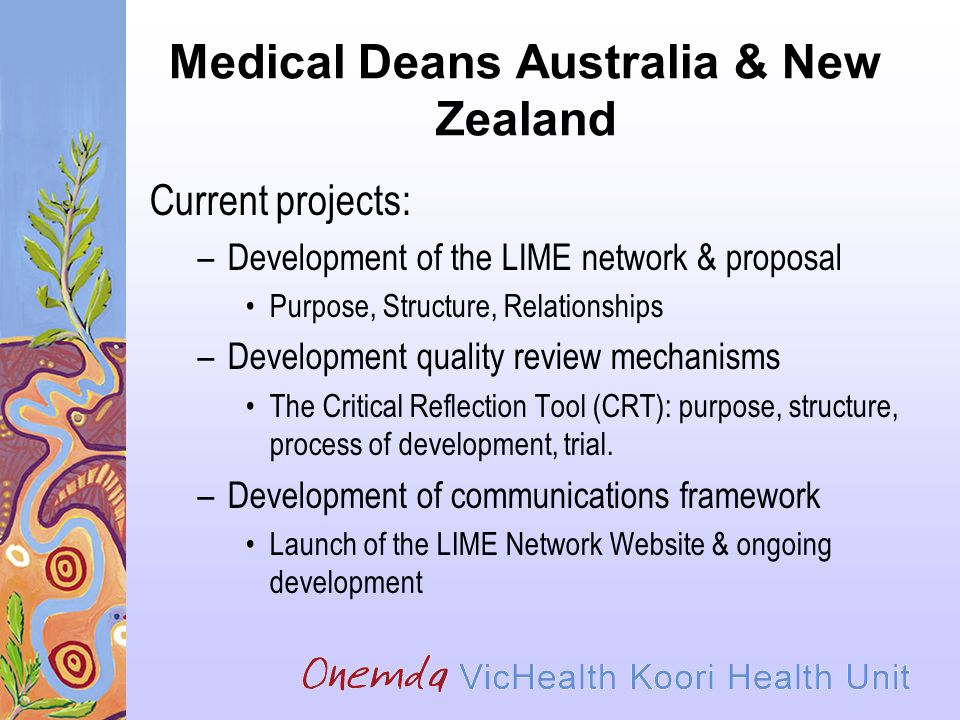Medical Deans Australia & New Zealand Current projects: –Development of the LIME network & proposal Purpose, Structure, Relationships –Development quality review mechanisms The Critical Reflection Tool (CRT): purpose, structure, process of development, trial.