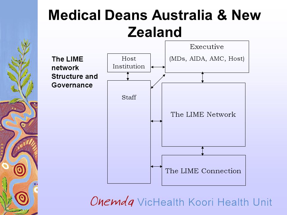 Medical Deans Australia & New Zealand The LIME Connection The LIME Network Executive (MDs, AIDA, AMC, Host) Host Institution Staff The LIME network Structure and Governance