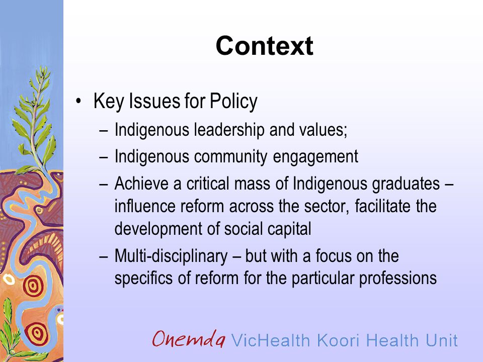Context Key Issues for Policy –Indigenous leadership and values; –Indigenous community engagement –Achieve a critical mass of Indigenous graduates – influence reform across the sector, facilitate the development of social capital –Multi-disciplinary – but with a focus on the specifics of reform for the particular professions