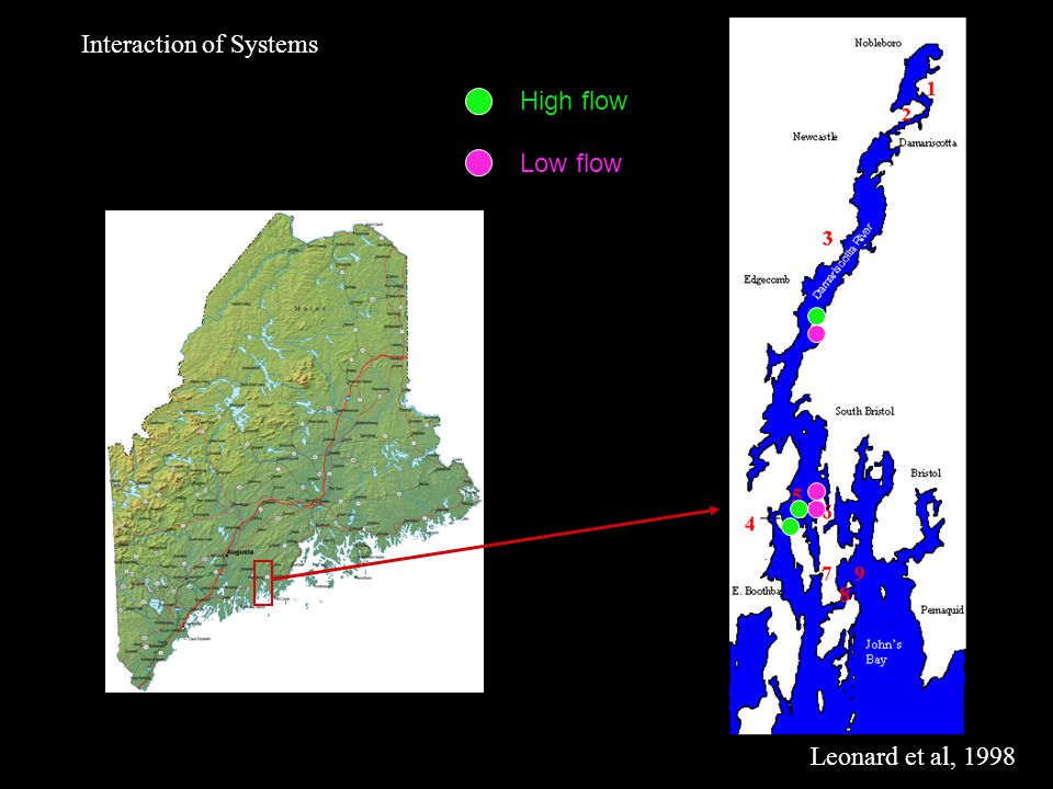 Interaction of Systems Leonard et al, 1998 Low flow High flow