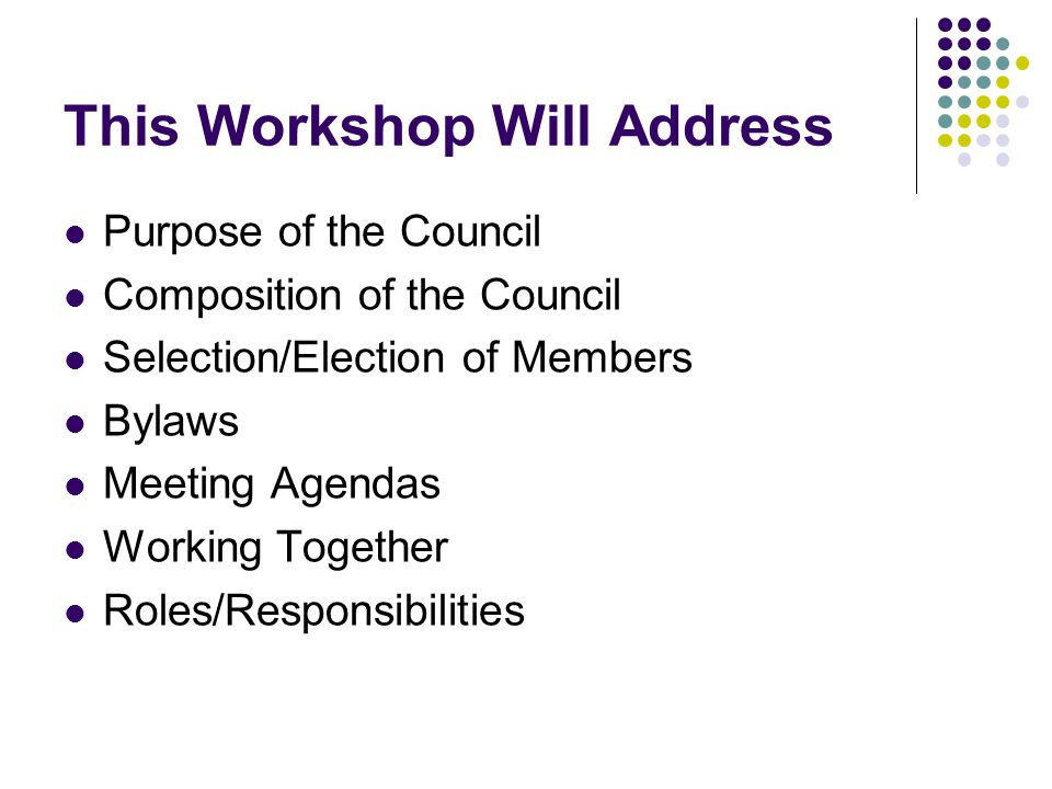 This Workshop Will Address Purpose of the Council Composition of the Council Selection/Election of Members Bylaws Meeting Agendas Working Together Roles/Responsibilities