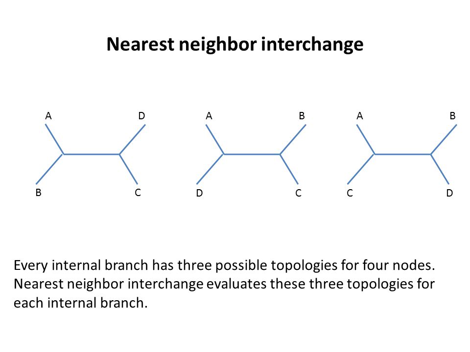 Nearest neighbor interchange A BC D A DC B A CD B Every internal branch has three possible topologies for four nodes.