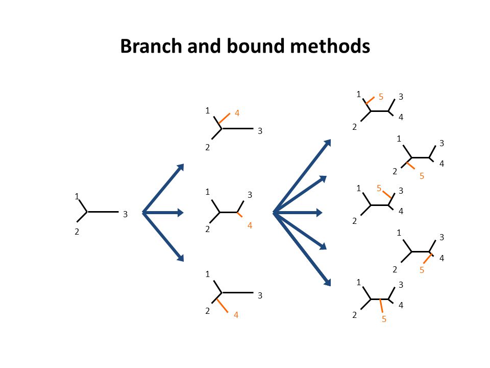 Branch and bound methods
