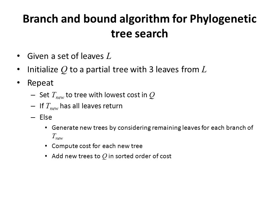 Branch and bound algorithm for Phylogenetic tree search Given a set of leaves L Initialize Q to a partial tree with 3 leaves from L Repeat – Set T new to tree with lowest cost in Q – If T new has all leaves return – Else Generate new trees by considering remaining leaves for each branch of T new Compute cost for each new tree Add new trees to Q in sorted order of cost