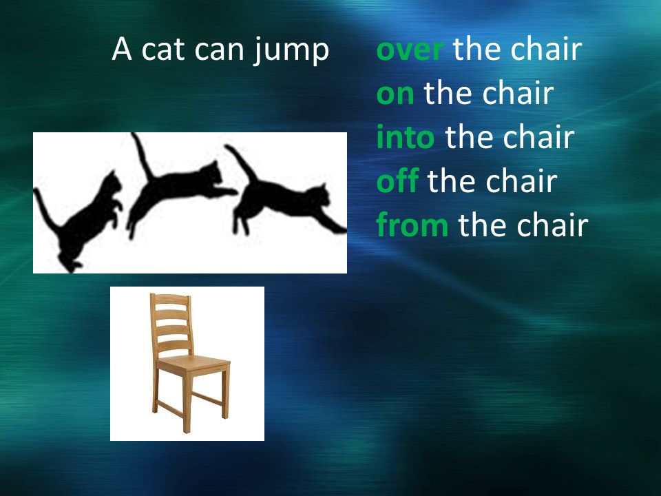 A cat can jumpover the chair on the chair into the chair off the chair from the chair